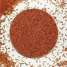 Alant Herb Seeds for reliable seasonal color