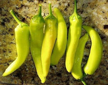 Hungarian Wax Pepper Seeds prized among growers for hot, Flavorful Peppers