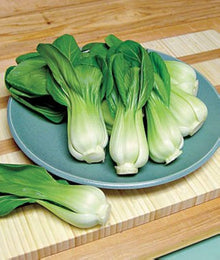 San Fan Hybrid Pak Choi Seeds for growers seeking a long-blooming display