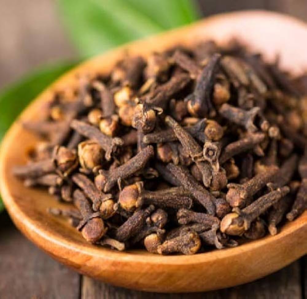 Clove Syzygium aromaticum herb seeds for planting in kitchen garden and backyard - for planting in home garden