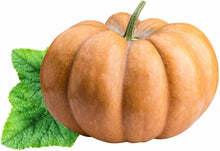 Giant Orange Pumpkin Cucurbita Seeds for productive rows in the Vegetable Patch Backyard