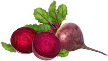 Blood Beetroot Seeds (Beta vulgaris) for growers stocking the kitchen garden and planting