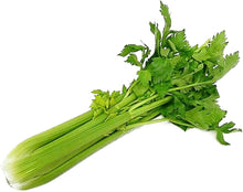 Laika Parsley Petroselinum Crispum Seeds for a flavorful crop in the Herb Garden & Vegetable Patch