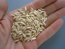Lada Melon Seeds for a fresh homegrown crop from the Summer Gardens