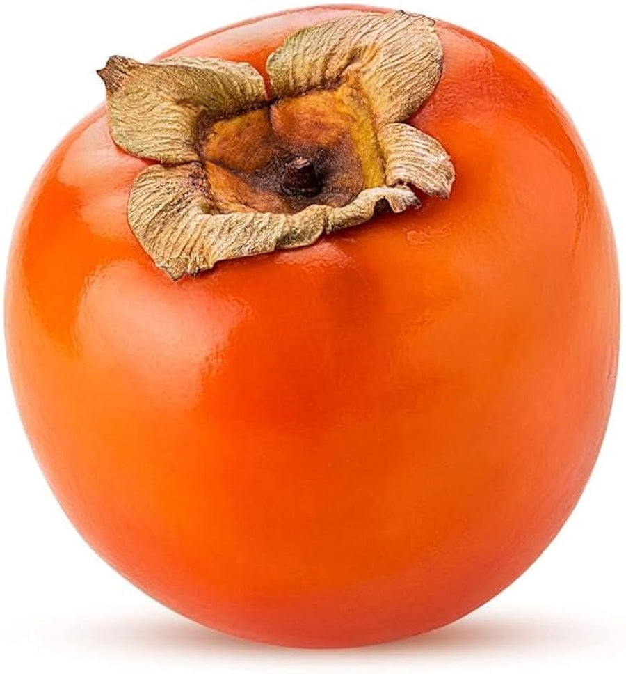 Persimmons (Orange Tomato Seeds – Sweet, Low-Acid Tomato with Persimmon Hue) for planting in garden
