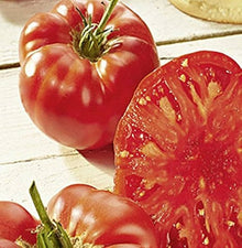 Jefferson Riesen Bio-Fleischtomate Seeds for reliable seasonal color