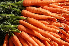 Carrot Seeds for a fresh homegrown crop from the Daucus patch raised bed