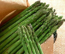 Asparagus Plant Seeds for productive rows in the vegetable patch