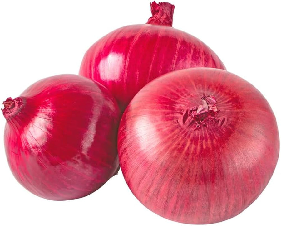 Onion Use for planting in home garden.