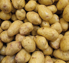 Potato Seeds for a productive addition to the vegetable patch