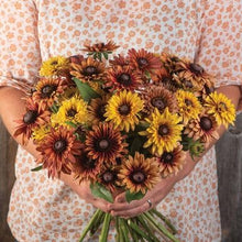 Rudbeckia Sahara Seeds for reliable seasonal color