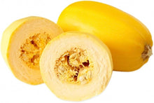Spaghetti Squash Melon Seeds (Cucurbita pepo) for a fresh homegrown crop from the Vegetable Patch