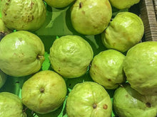 Guava Psidium Guajava Seeds for a sweet addition to the home orchard