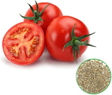 Biological Pomodoro Tomato Seeds known for organic Homegrown Tomatoes