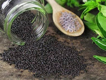 Sweet Basil Ocimum basilicum Seeds for planting in vegetable patch