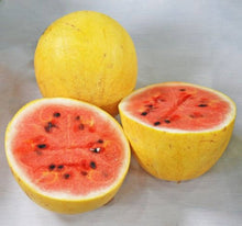 Golden Pioneer Hybrid Seeds for a productive addition to the vegetable patch