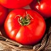 Dinner Plate Organic Beefsteak Tomato Seeds for a productive addition to the vegetable patch