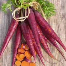 Cosmic Purple Carrot Seeds for growers stocking a kitchen garden