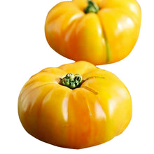 Yellow (Carrot Seeds – Golden Heirloom Carrots with Sweet Crunchy Texture) for planting in garden
