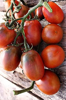 Black Seeds (Plum tomato) prized among growers for roasting and drying