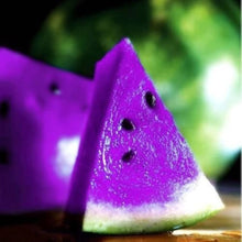 Jungjongjin Rare Purple Watermelon Seeds for home growers seeking a reliable harvest
