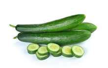 American Yard Long Cucumber Seeds valued by growers for home Organic Growing