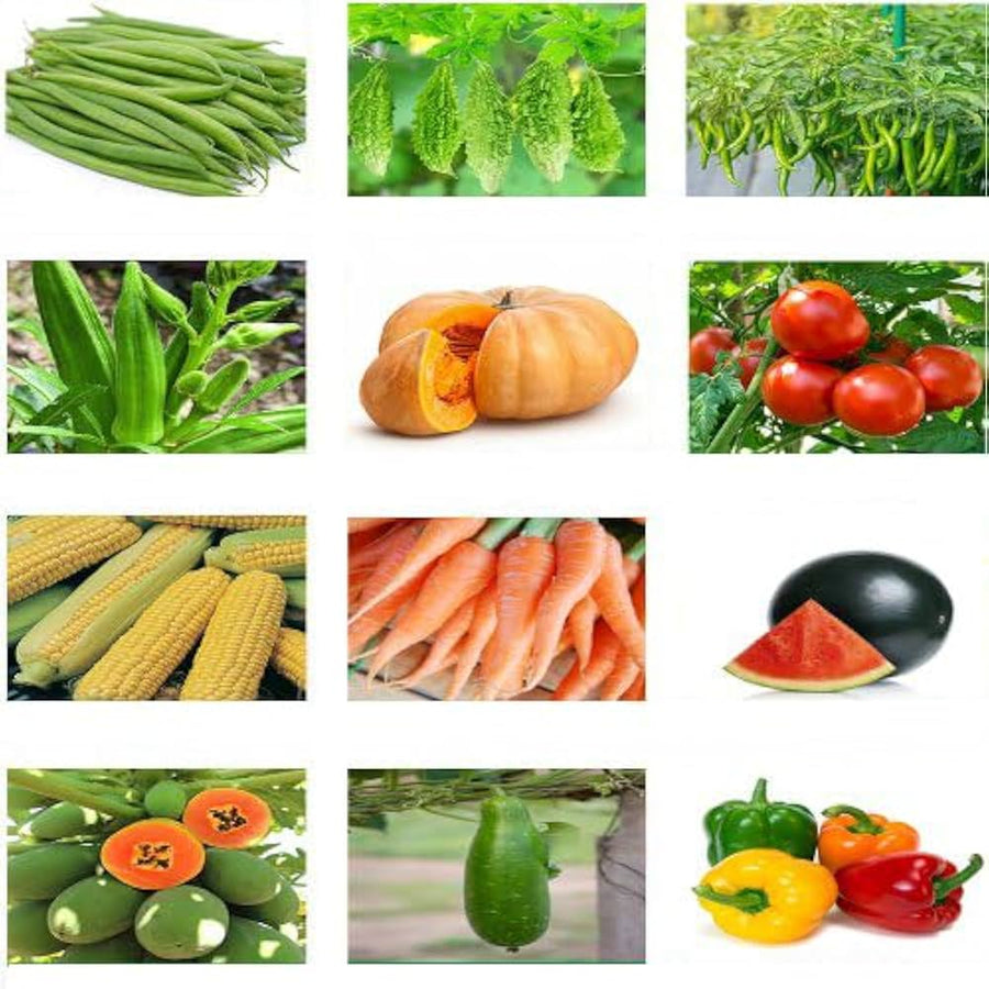 Organic rare vegetable seeds fresh