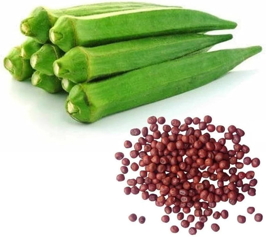 Giant Okra Vegetable Seeds