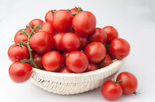 Purple Cherry Tomato Seeds (Solanum lycopersicum) for growers stocking the Balcony Vegetable Patch
