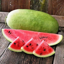 Giant Watermelon Seeds prized among growers for charleston Grey Sweet Fruit