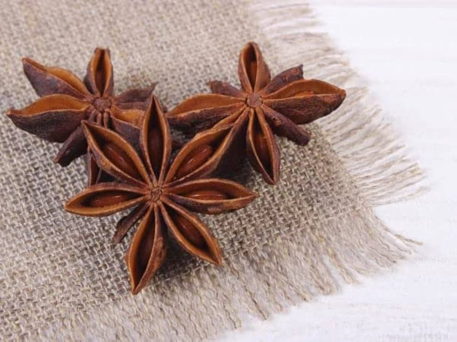 Anise Myrrhis Odorata for planting in herb garden