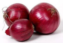 Brown Onions Seeds (Allium cepa) for a lasting display in the Vegetable Home Garden