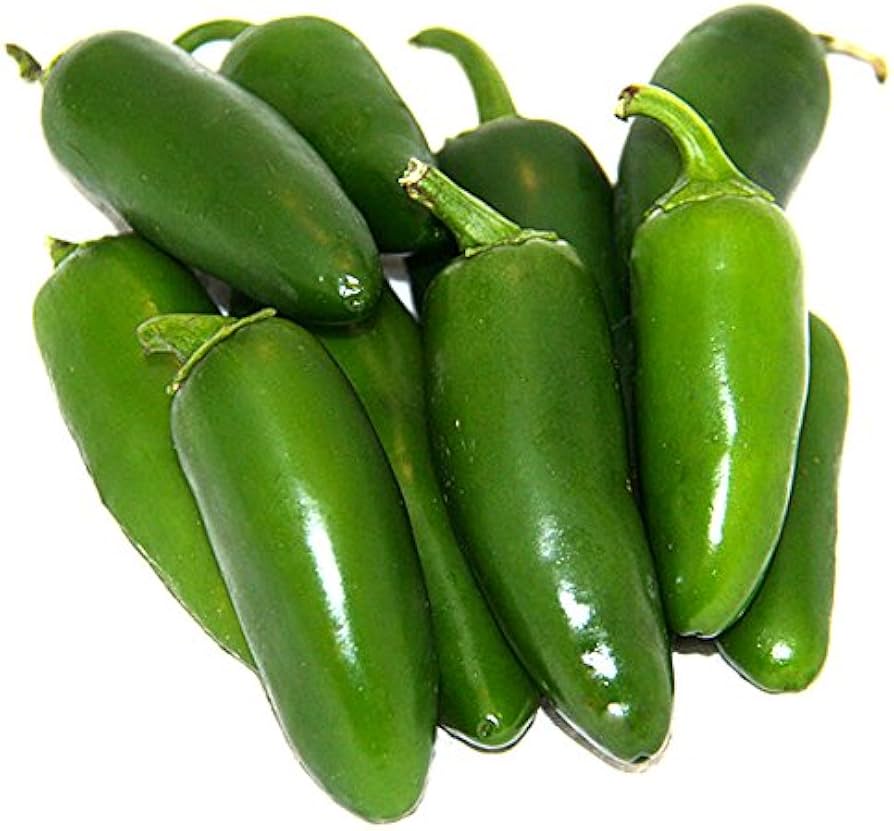 Jalapeno Hybrid Capsicum annuum for planting in garden