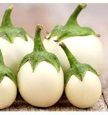 Plant Seeds (Easter egg) for a lasting display in the home gardens