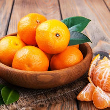 Orange Seeds (Citrus sinensis) for growers planting the Orchard