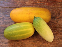 Mixed Cucumber Seeds for home growers seeking a reliable harvest