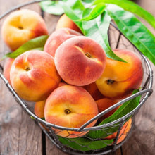 Peach Seeds for a sweet addition to the home orchard