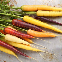 Lunar White Carrot Seeds for a productive addition to the vegetable patch