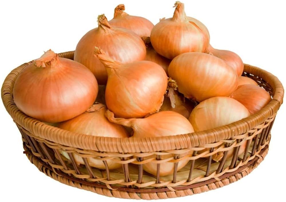 Golden Onion Dorata Di Parma seeds