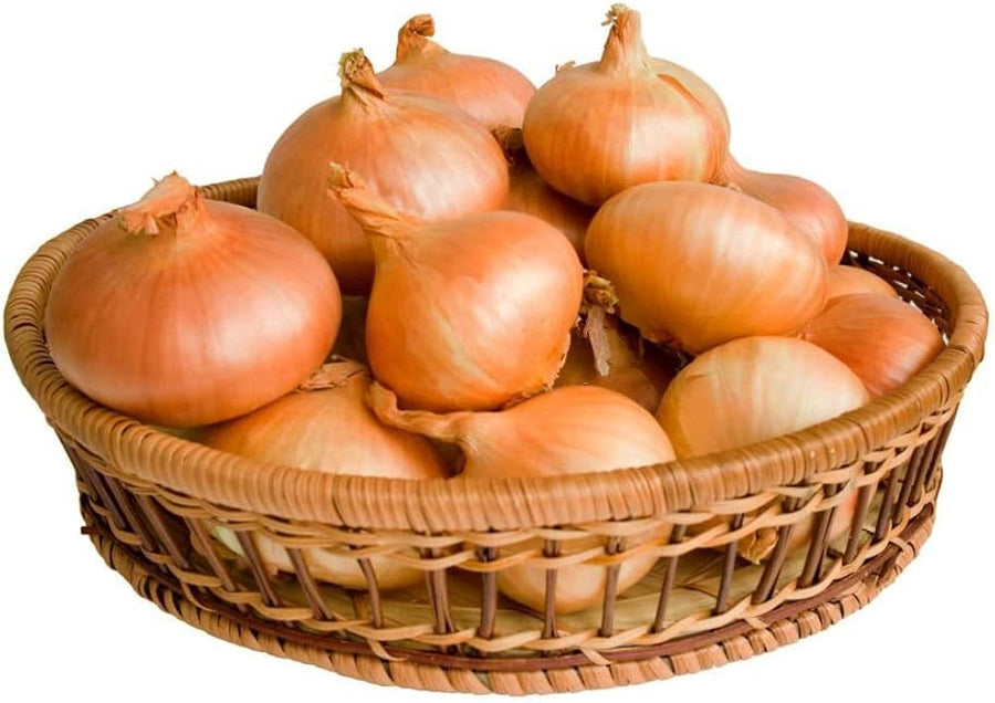 Golden Onion Dorata Di Parma seeds