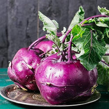 Lettuce Lactuca Sativa Spicy Cream Leafy Seeds known for urban Fresh Harvests