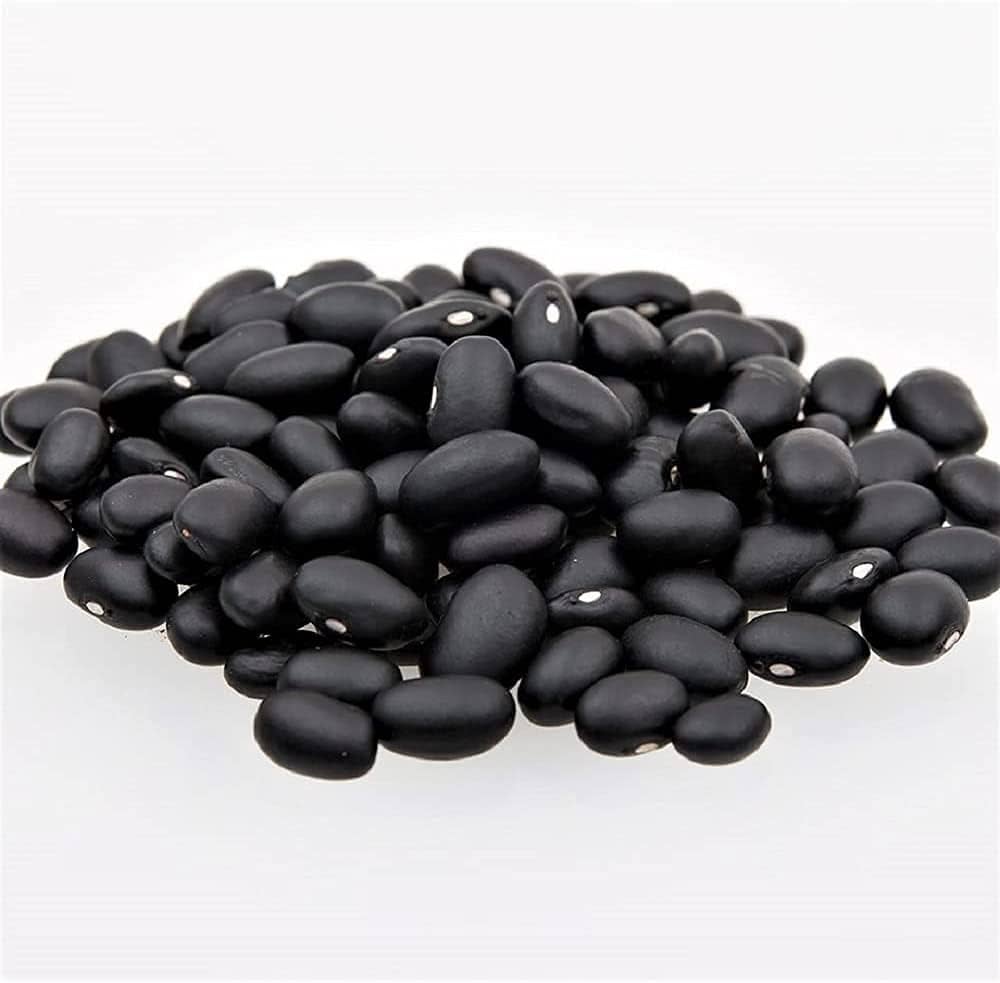 Black Turtle Pole Bean (Phaseolus vulgaris) for planting in home garden