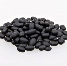 Black Turtle Pole Bean (Phaseolus vulgaris) for planting in home garden