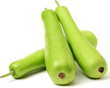Bottle Gourd Seeds (Lagenaria siceraria) for productive rows in the backyard gardening and kitchen garden
