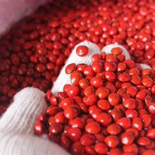 Scarlet Red Nasturtium Seeds for fast cover along a fence or wall