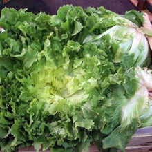Vegetable Pots for planting in home garden.