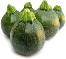 Summer Squash Cucurbita pepo seeds for planting