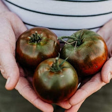 Black Tomato ‘Krim’ Seeds for home growers seeking a reliable harvest