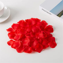 Mixed Rose Petals Seeds (Rosa spp.) for growers filling out the Flower Garden