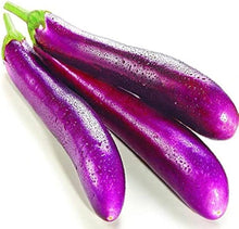 Amethyst Eggplant Seeds (Solanum melongena) for productive rows in the vegetable beds and balcony gardens